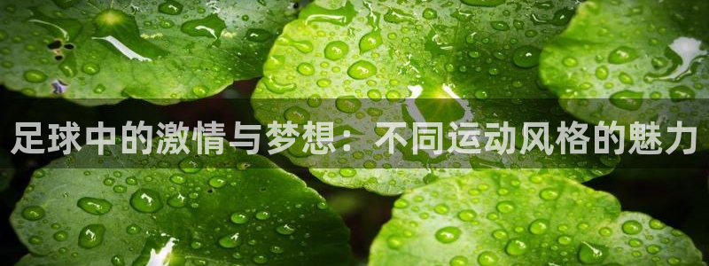 杏运4登录