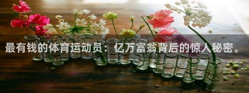 杏运体育凯捷平台主管