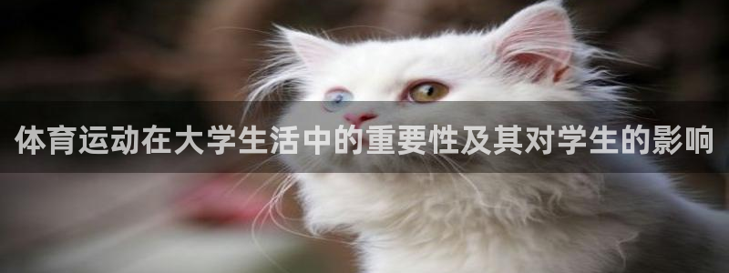 杏运凯捷开号链接