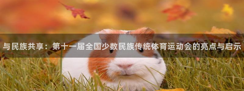 杏运体育官网入口登录
