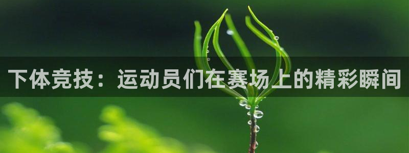 杏运2平台登录