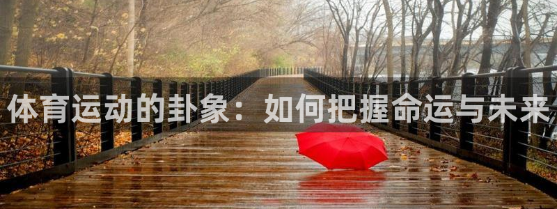 杏运达贝哪里卖