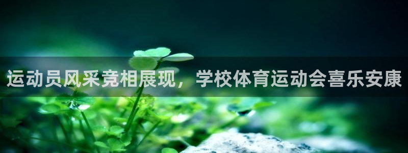 杏运平台官网注册