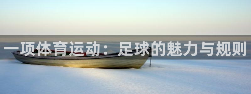 杏运达贝钙是什么