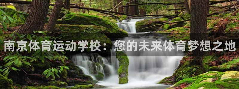 杏运体育官网入口登录