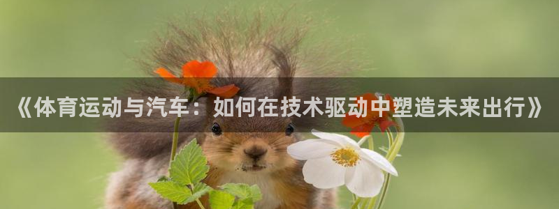 杏运体育游戏