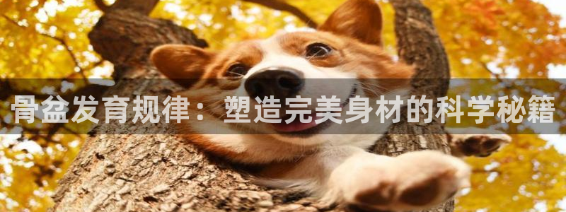杏运体育官网