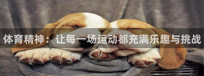 杏运体育凯捷平台代理